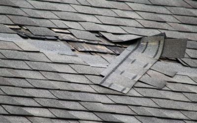 Storm Damage